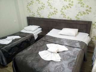 Отель Hotel Mimino Тбилиси Двухместный номер с 2 отдельными кроватями-2