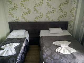 Отель Hotel Mimino Тбилиси Двухместный номер с 2 отдельными кроватями-3